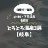 とろとろ温泉【岐阜】日帰り・宿泊で選ぶ美肌湯3選｜pH10・下呂温泉も紹介