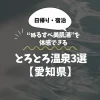 とろとろ温泉【愛知県】日帰りでも体感できる“ぬるすべ美肌湯”3選