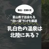 乳白色の温泉は北陸にある？富山県で出会える“白い湯”だけを厳選紹介
