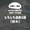 とろとろ温泉【栃木】｜pH9台の美肌湯を日帰り・宿泊で体感できる温泉3選
