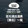 足元湧出温泉【東北】一覧｜浴槽の底から湧く“本物のすごい温泉”厳選